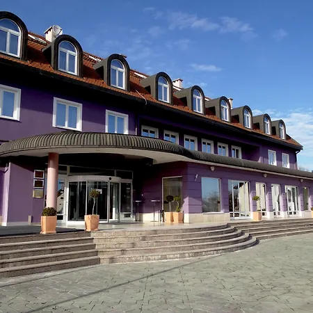 Hotel Phoenix-3
